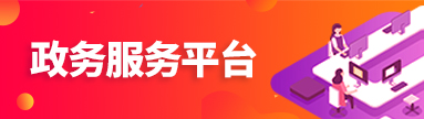 政務(wù)服務(wù)平臺